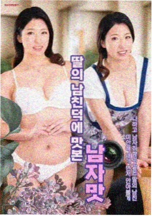 春日回声 免费观看高清完整版在线观看电视剧